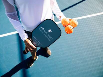 pickleball court with paddle