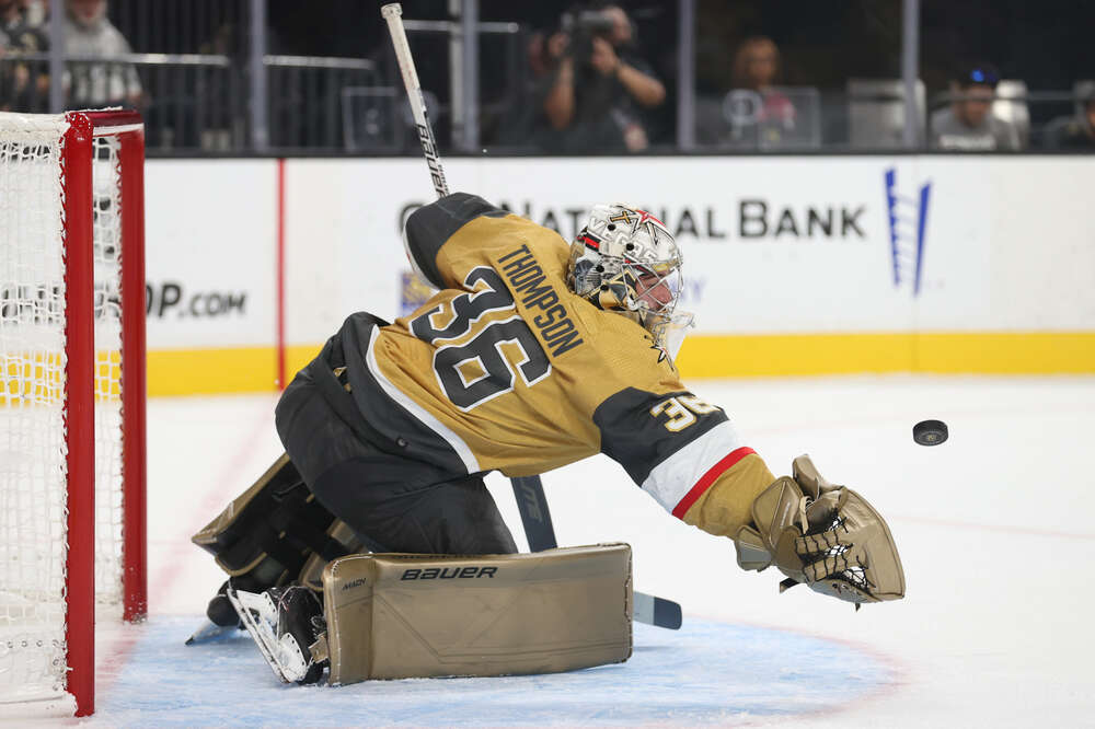 Professional Roller Hockey: A Brief History of the US League - Allegiant  Goods Co.