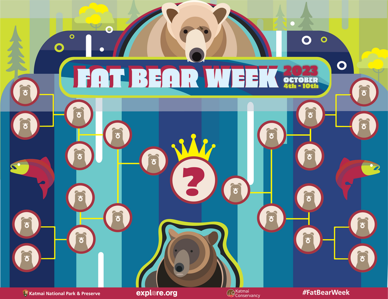 fat bear week 2023 brackets