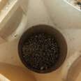 Homeowners See Spikes Sticking Out Of Drain And Realize It's Someone Very Stuck