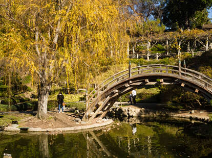 The Huntington Botanical Gardens