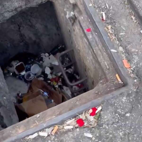 kitten in sewer