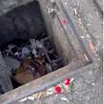 People Spot Fuzzball In Sewer Trash And Realize It's A Baby In Need