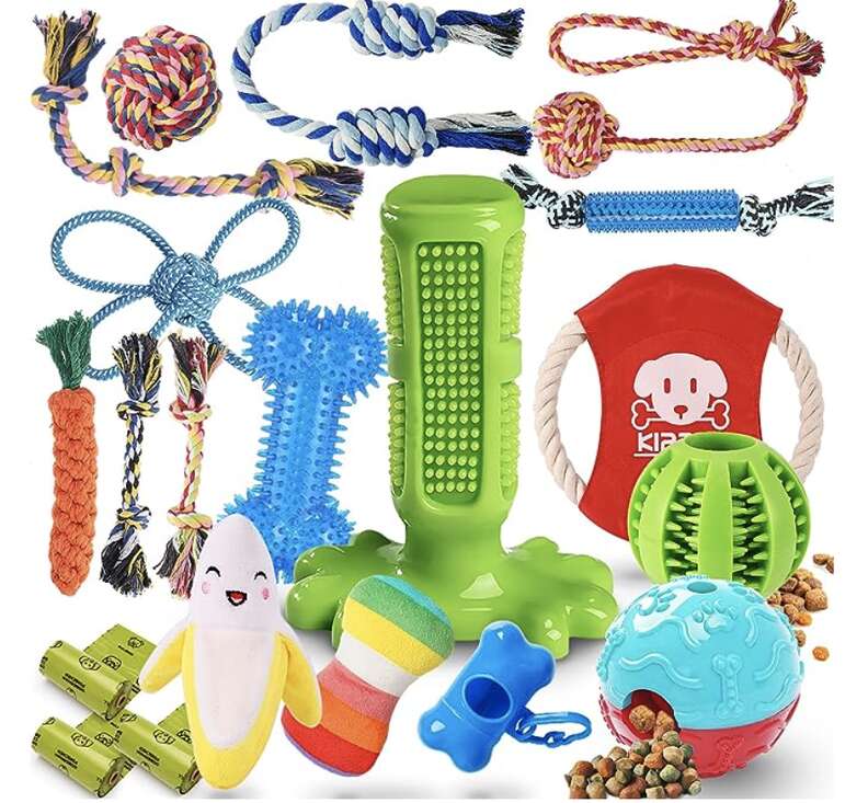 Amazon prime pet on sale supplies