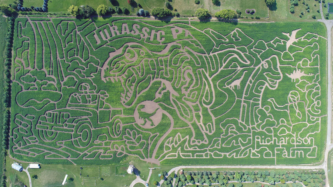 World's Largest Corn Maze in Spring Grove, Illinois What to Know