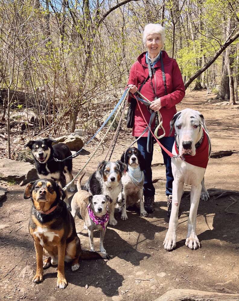 grandma hiking with dogs