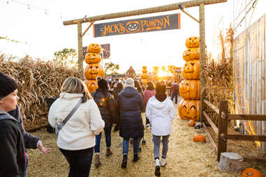 Jack's Pumpkin Pop-Up