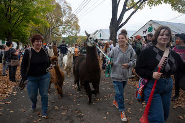 New York State Sheep and Wool Festival