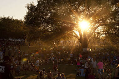 zilker park at dusk