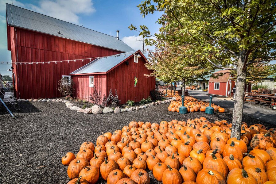 Best Pumpkin Patches Near Chicago: Where To Go Pumpkin Picking This ...