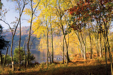 Radnor Lake