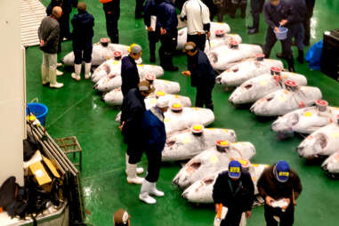 Fish wholesale market in Toyosu Market