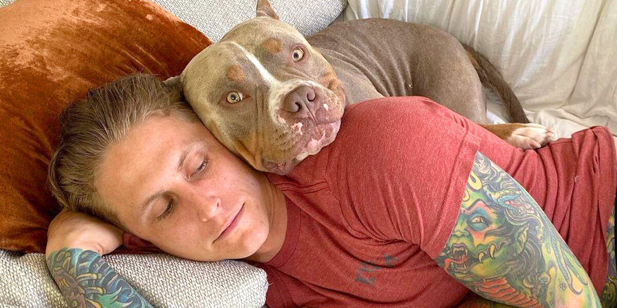 Pittie nation deals adoption