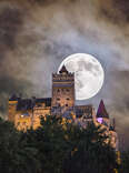 bran castle at night under full moon