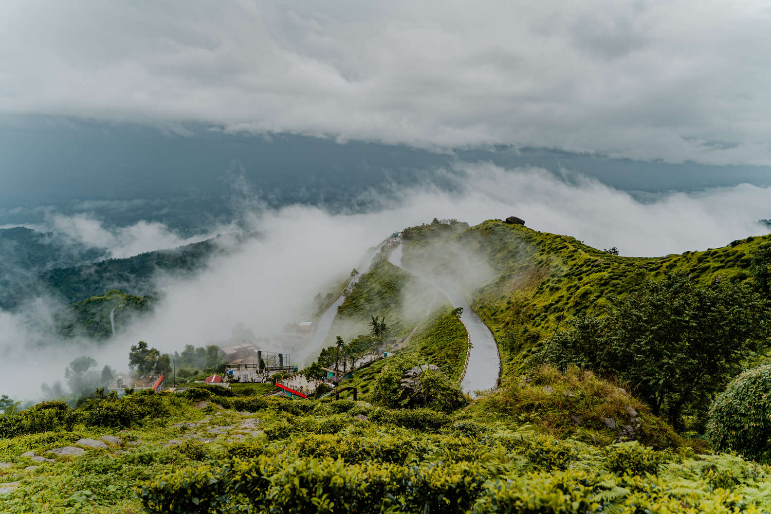 Photo by Siddhartha Joshi, courtesy of Grace Farms 