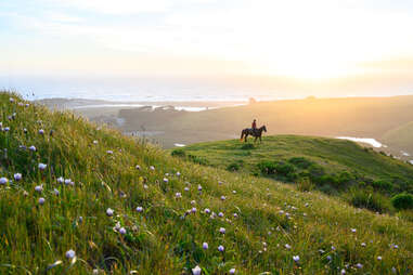 pacific coast highway tours from san francisco