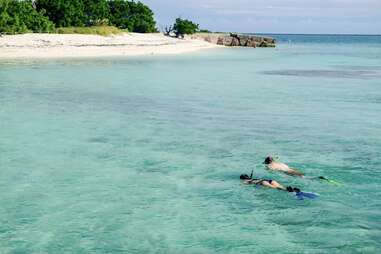 snorkeling in Tortugas National Park