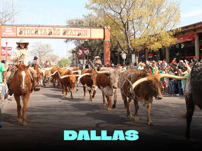 Unmissable Music Festivals in Dallas: Discover the Ultimate Experience!
