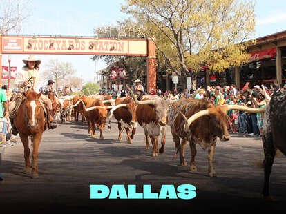 Fort Worth Stockyards National Historic District is one of the very best  things to do in Dallas