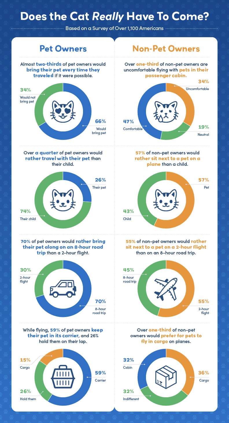 traveling with a pet challenges survey graphic