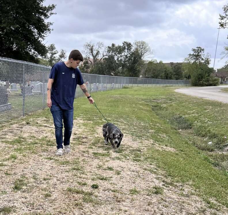 person walking dog 