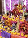 At This Hotel, Experience Día de Los Muertos Through an Artist’s Eyes