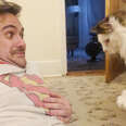 Guy Falls Into "Toxic Love" With His Stalker Foster Cat