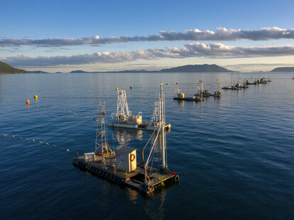 reefnet salmon fishing boats off lummi island, washington