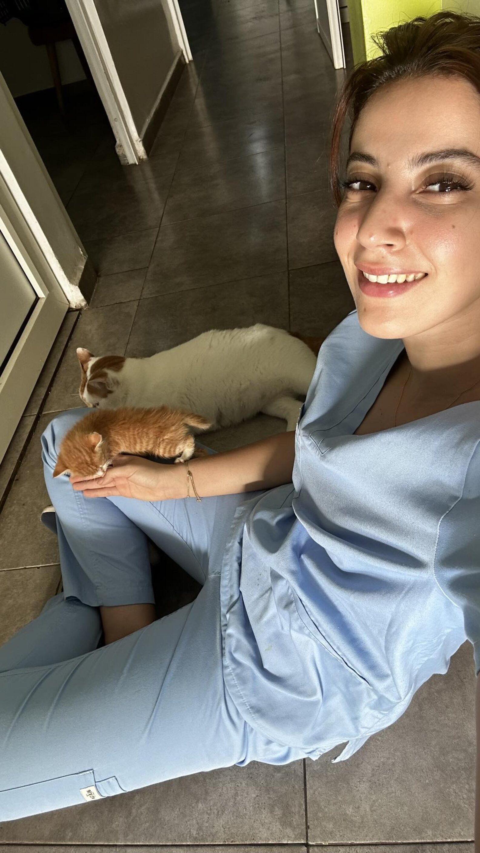 Vet Clinic's Resident Cat Goes Above And Beyond For A Tiny Patient In ...
