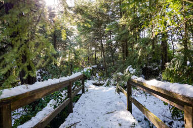 A snow-covered trail during winter in Canada.