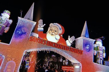 Santa’s Enchanted Forest