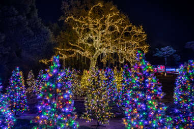 lit up christmas trees at holiday road at king gillette ranch