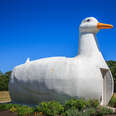 the big duck roadside attraction flanders long island