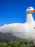 the big duck roadside attraction flanders long island