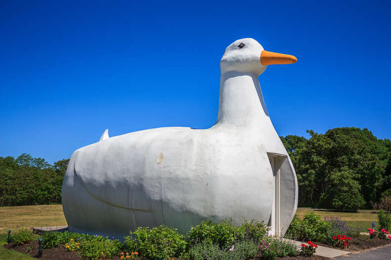 the big duck roadside attraction flanders long island
