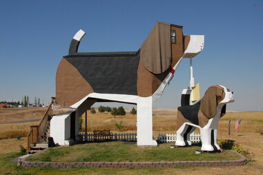 dog shaped hotel