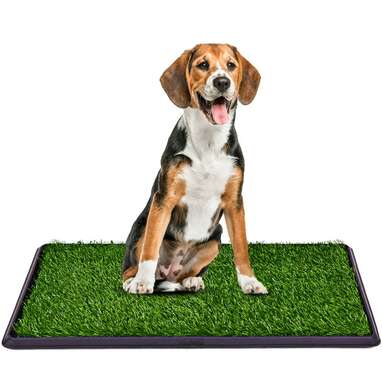 Get used to the grass: Costway Puppy Pet Potty Training Indoor Toilet 