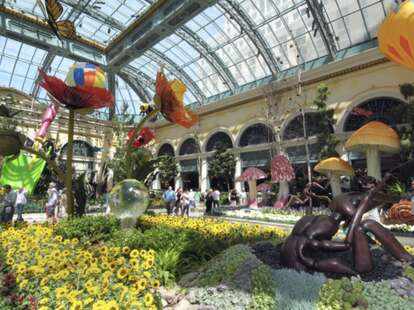 Bellagio Conservatory on 5.20.10