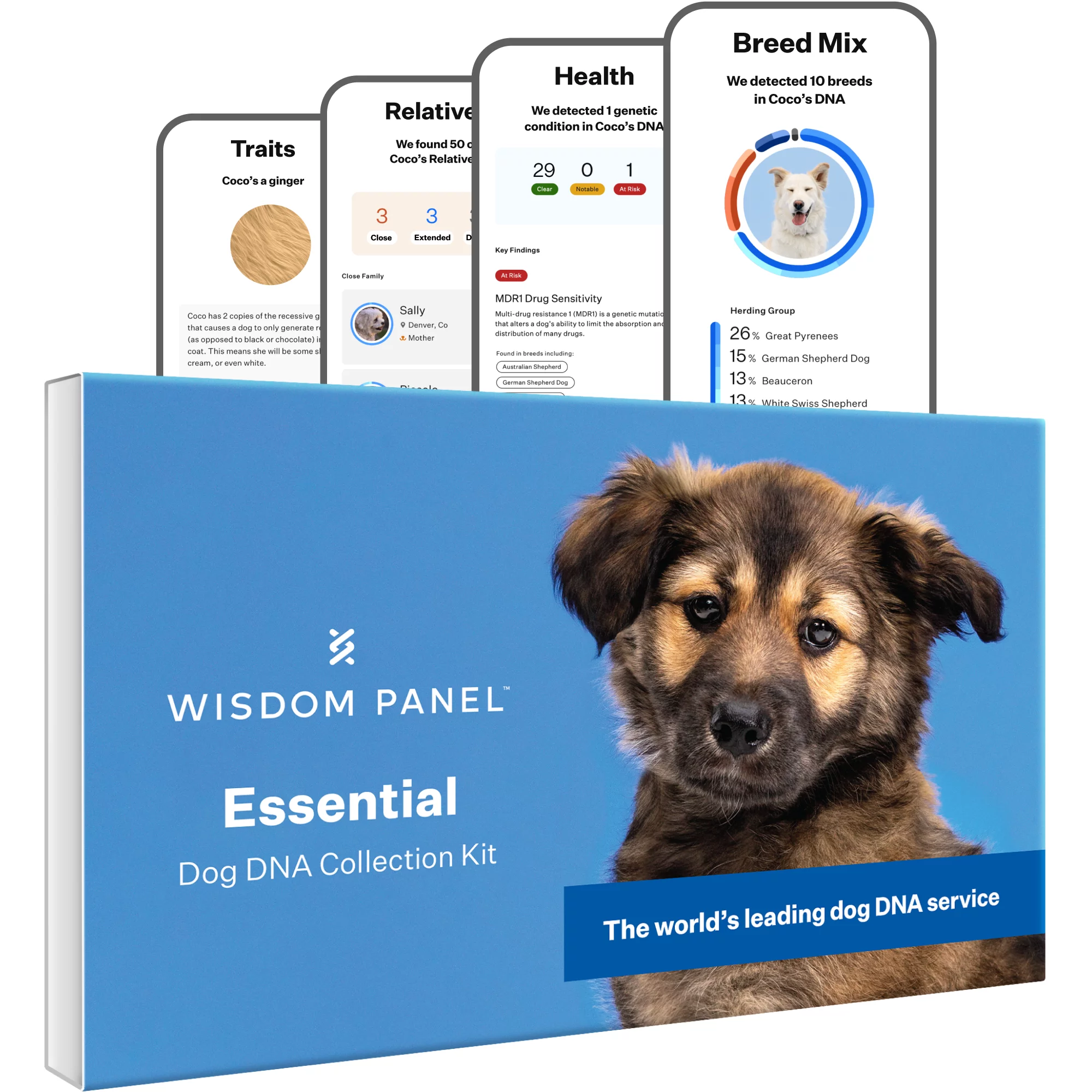 Wisdom panel shop black friday