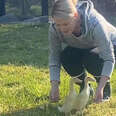 These 2 Ducks Are Basically Toddlers