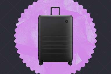 For the stylish traveler: Monos Large Check-In