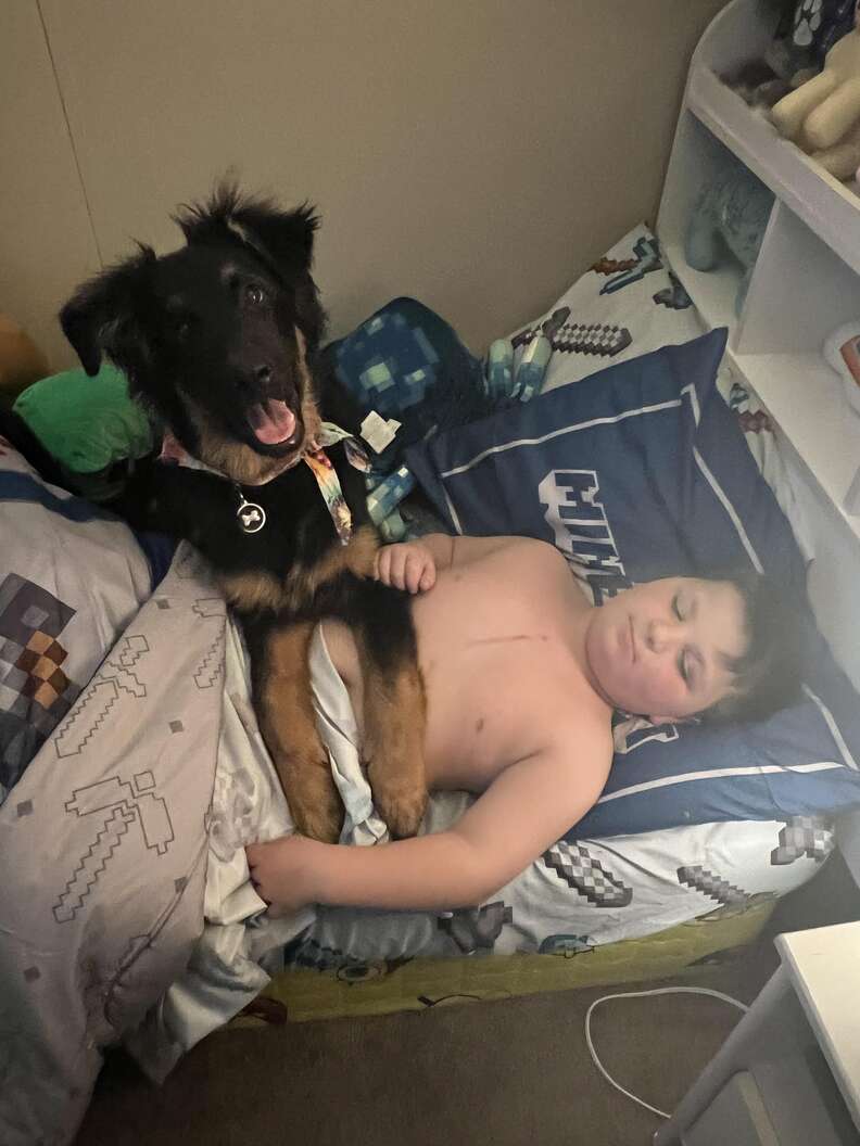 dog and his brother
