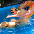 Golden Retriever Uses His Mom's Raft To Save His Ball From Pool