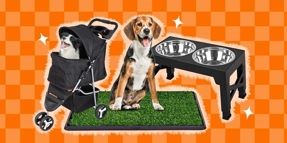 The Best Black Friday Dog Deals That Will Get Your Pup's Tail Wagging