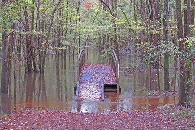 flooded bridge in Congaree National Park