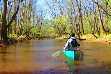 canoeing in Congaree river