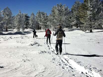 cross country skiing on Mt Pinos in the Tejon Pass