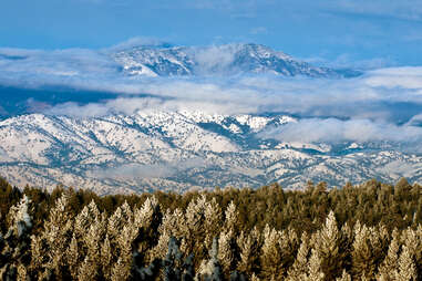 snowy forest and mountains of the tejon pass