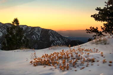 Snowy sunset on Angeles Crest