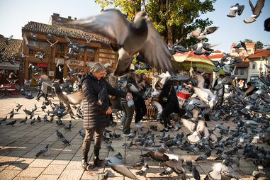 Pigeon Square, Sarajevo